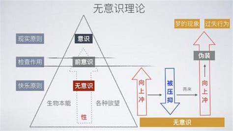 人類三大欲望|弗洛伊德欲望理论的主要内容